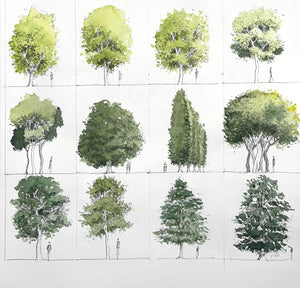 Painting Plants and Foliage: Unleash Your Creativity with Nature's Palette! 🌳🌻🍃🍁
