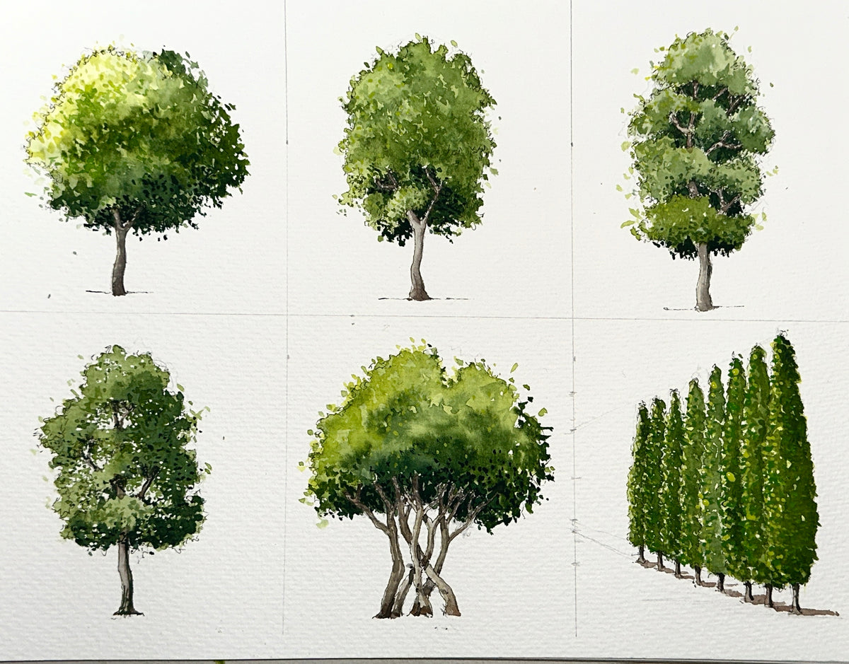 6 Trees Duration 2hr Mayad Allos Art