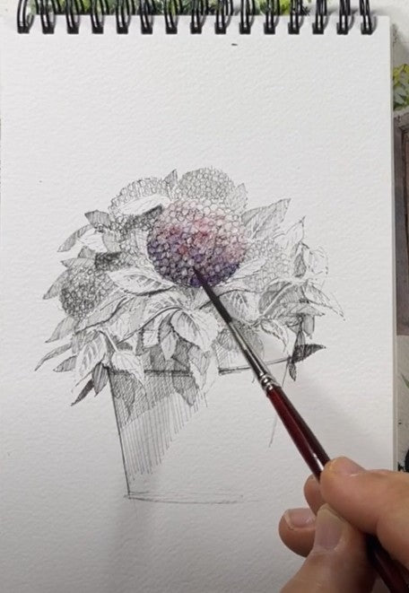 Hydrangea Flower Pot - Duration: 1.5hr