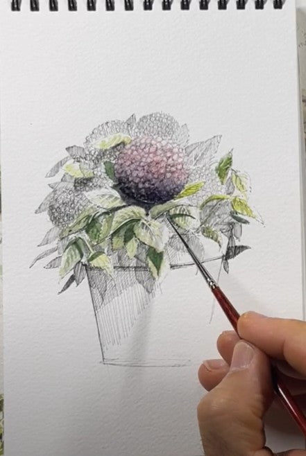 Hydrangea Flower Pot - Duration: 1.5hr