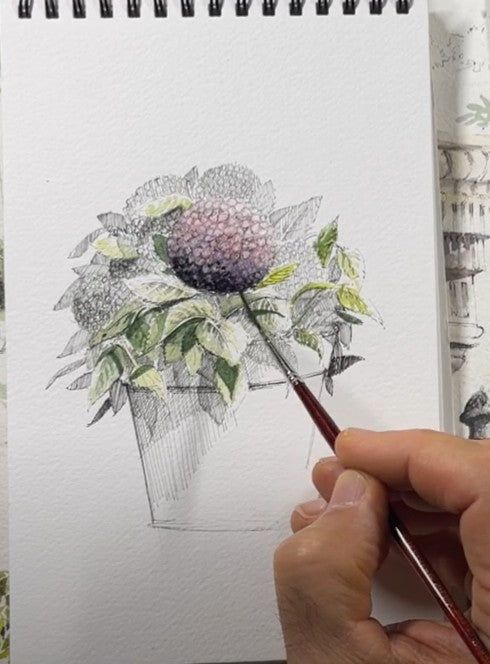 Hydrangea Flower Pot - Duration: 1.5hr