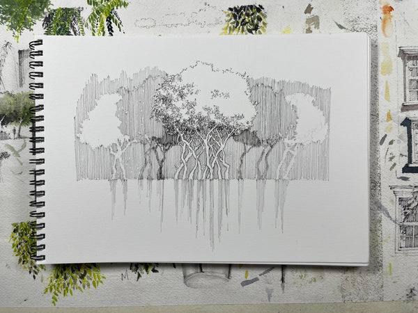 Family Tree - Duration: 1.5hr.