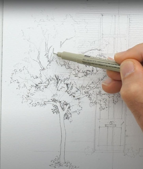 Beginners Introduction to Watercolour - 9 Unit Course.