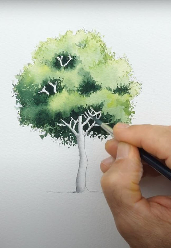 Beginners Introduction to Watercolour - 9 Unit Course.