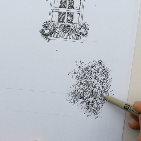 Beginners Introduction to Sketching - 9 Unit Course.