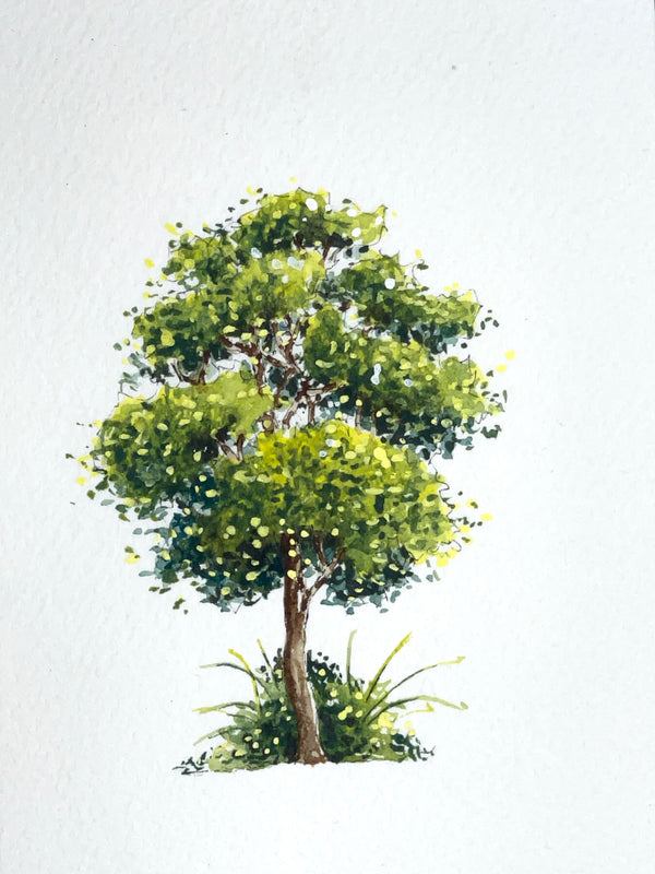 Creating a Tree using Primary Colours only - Duration: 1hr.