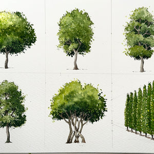 6 Trees - Duration: 2hr.