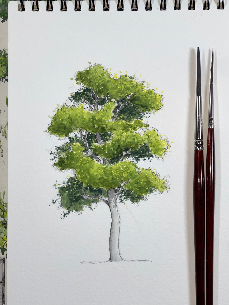 Bright Vibrant Summertime Tree - Duration: 1hr – Mayad Allos Art