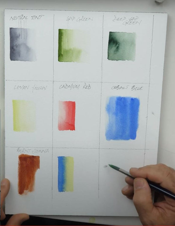 Beginners Introduction to Watercolour - 9 Unit Course.